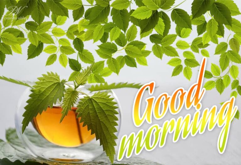 Good Morning – Be healthy and remain fit