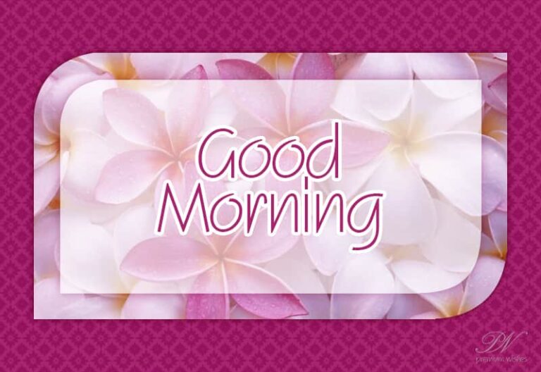 Friends Good Morning – Have Fun