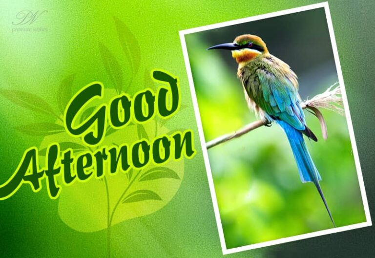 Good Afternoon Wishes