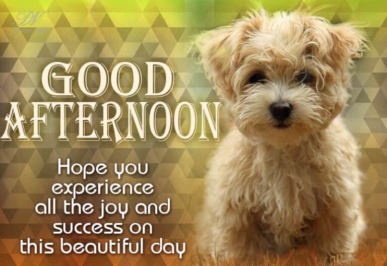 Good Afternoon Wishes