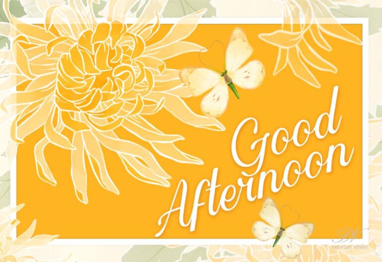 Good Afternoon Wishes