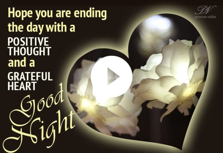 Good Night Greetings Video – Good Night Video With Flowers