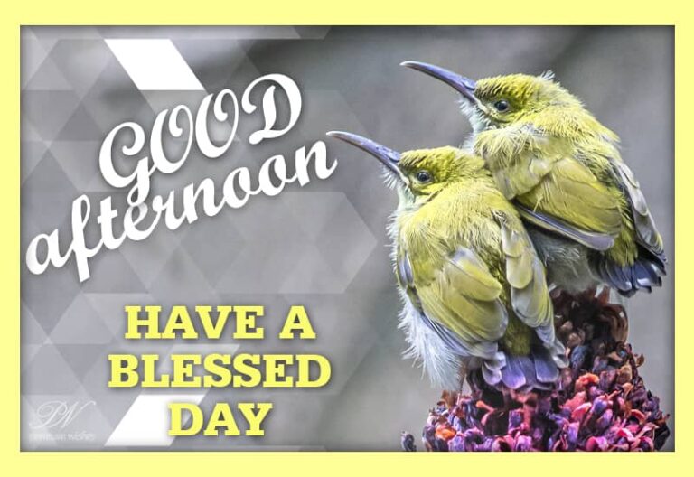 Good Afternoon Wishes
