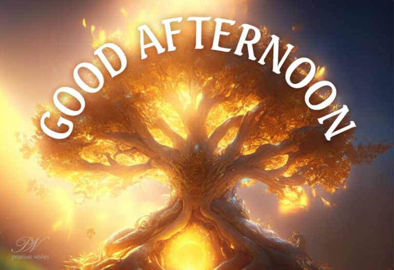 Good Afternoon Wishes