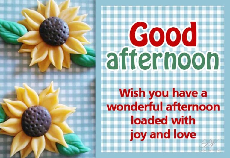 Good Afternoon Wishes
