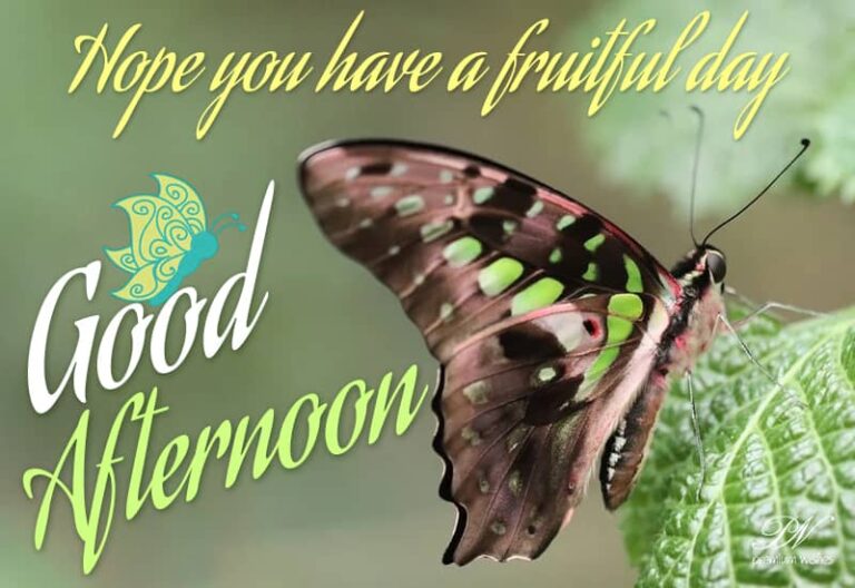 Good Afternoon Wishes