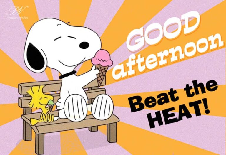 Good Afternoon – Beat the Heat