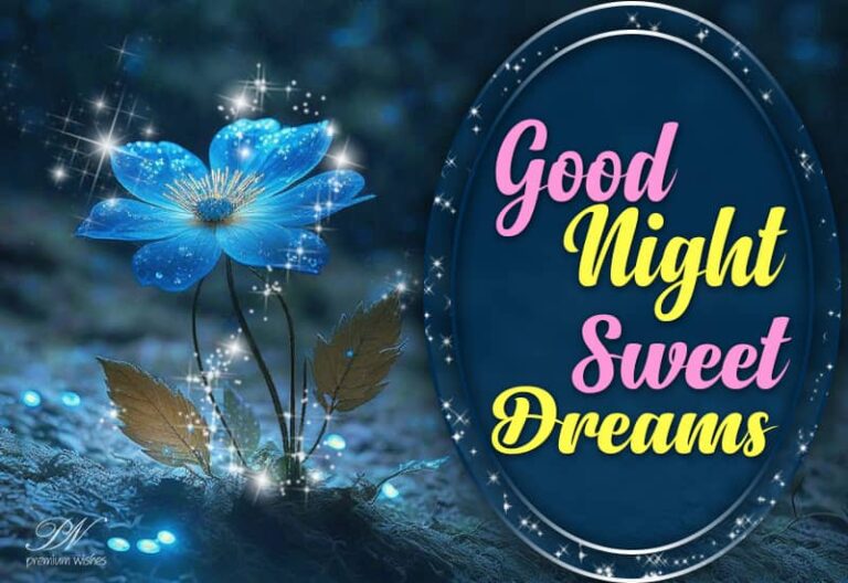 Good Night Wishes