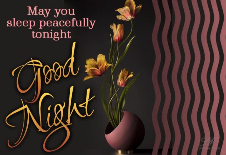 Good Night Wishes