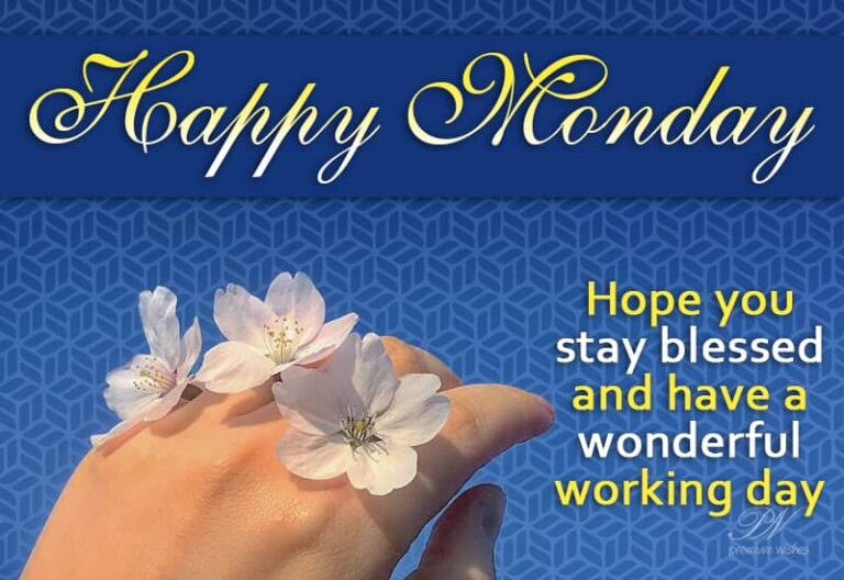 Happy Monday – Hope you stay blessed and have a wonderful working day