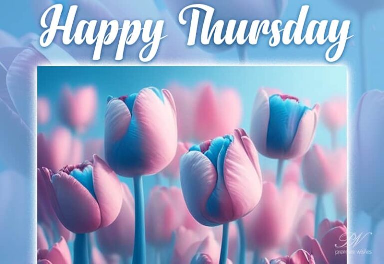 Happy Thursday Friends