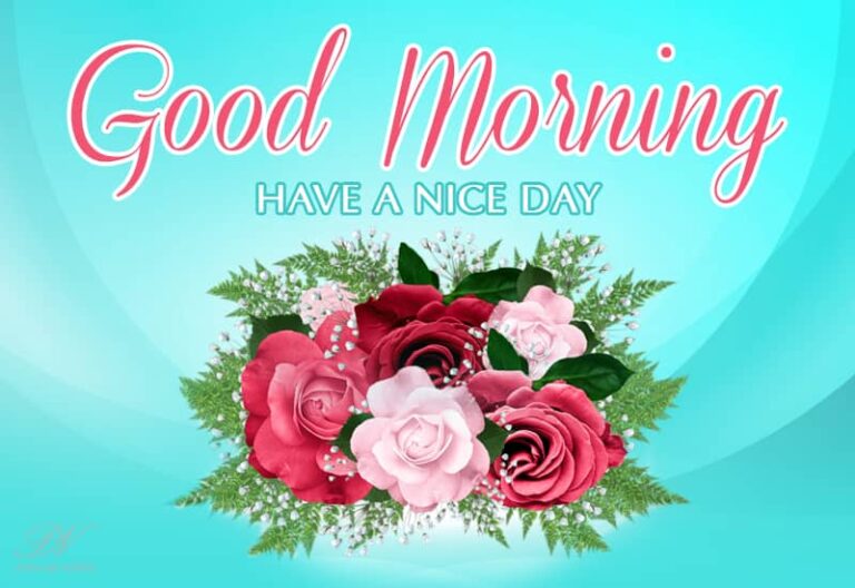 Good Morning – Have the nicest day