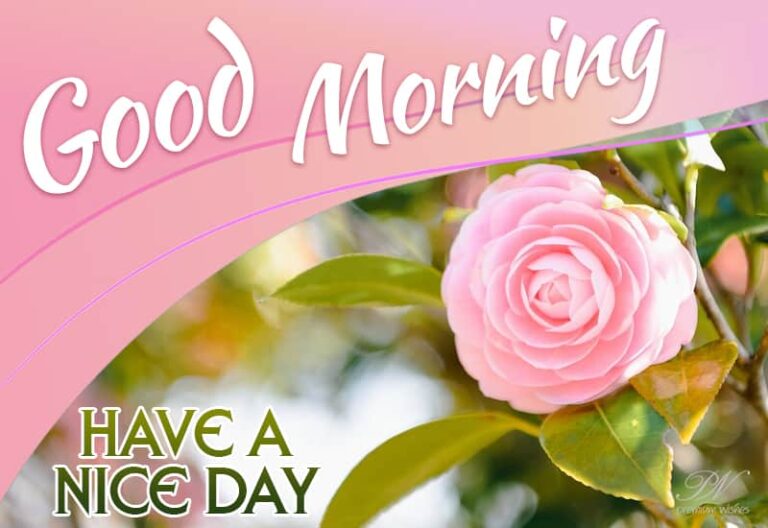 Friends have a nice day  – Good Morning