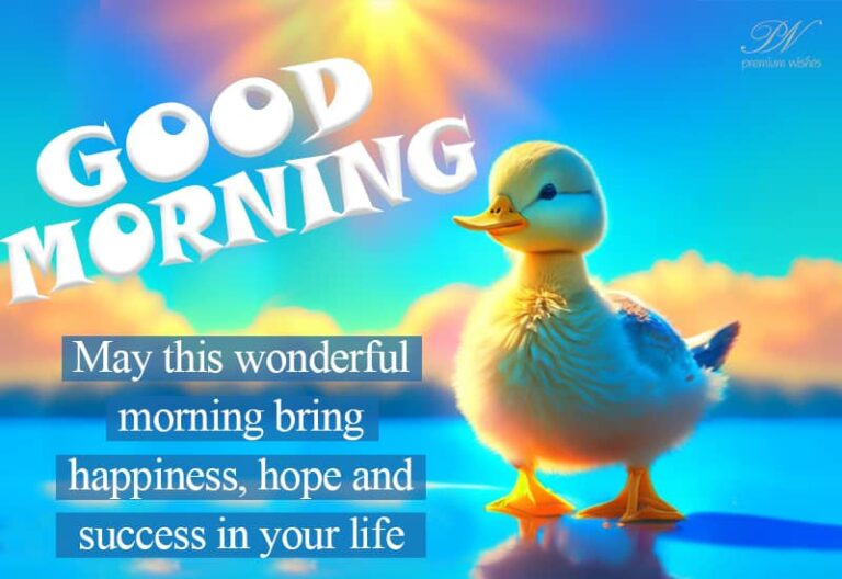 Good Morning – May this wonderful morning bring happiness, hope and success in your life Good Morning – May this wonderful morning bring happiness, hope and success in your life