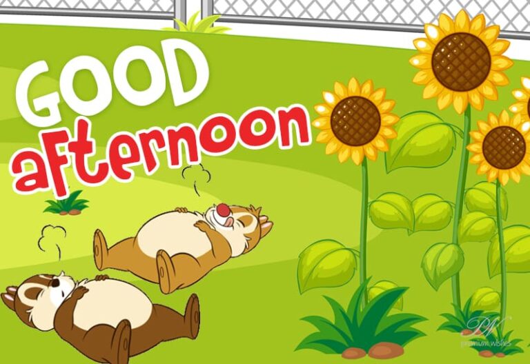 Good Afternoon Wishes