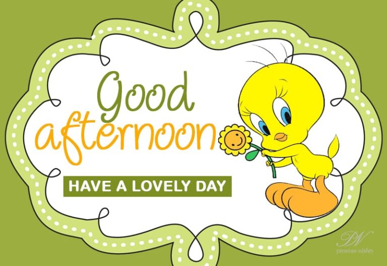 Good Afternoon Wishes