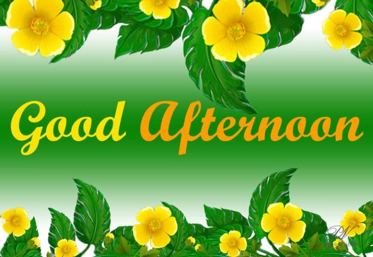 Good Afternoon Wishes
