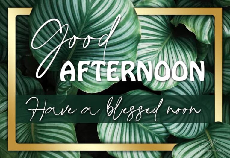 Good Afternoon Wishes