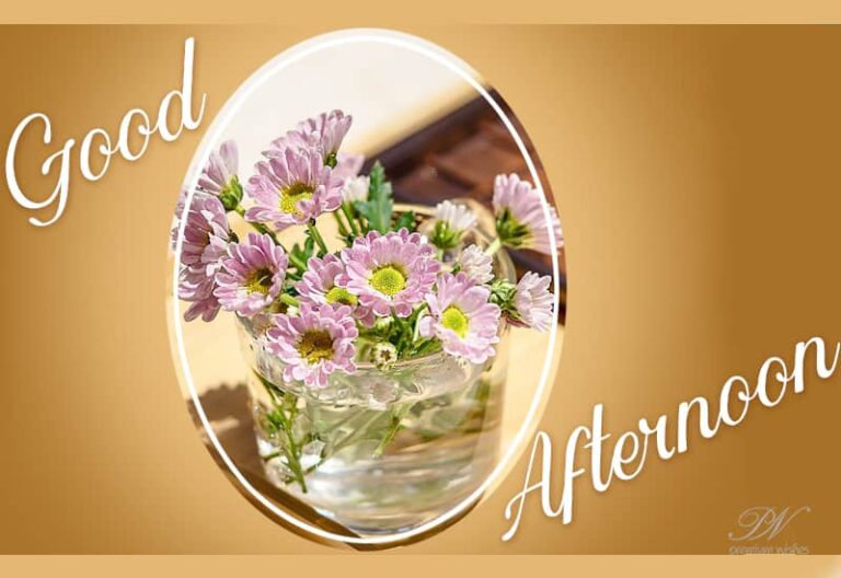 Good Afternoon Wishes