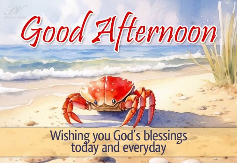 Good Afternoon Wishes