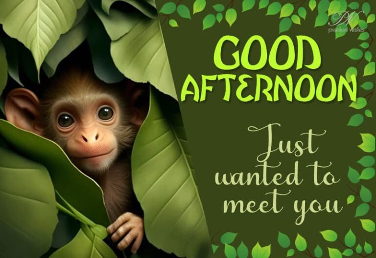 Good Afternoon Wishes