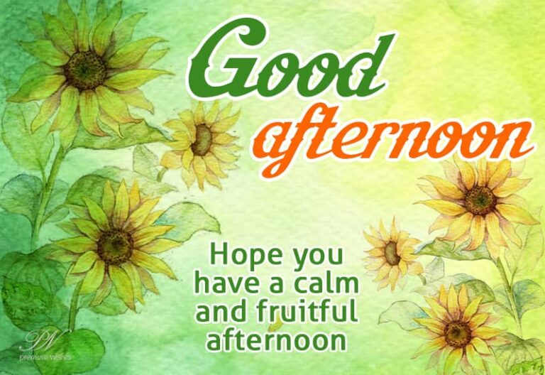 Good Afternoon Wishes