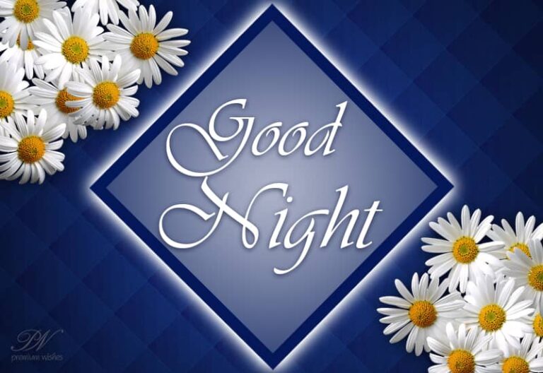 Good Night Wishes