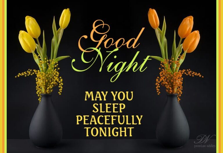 Good Night Wishes