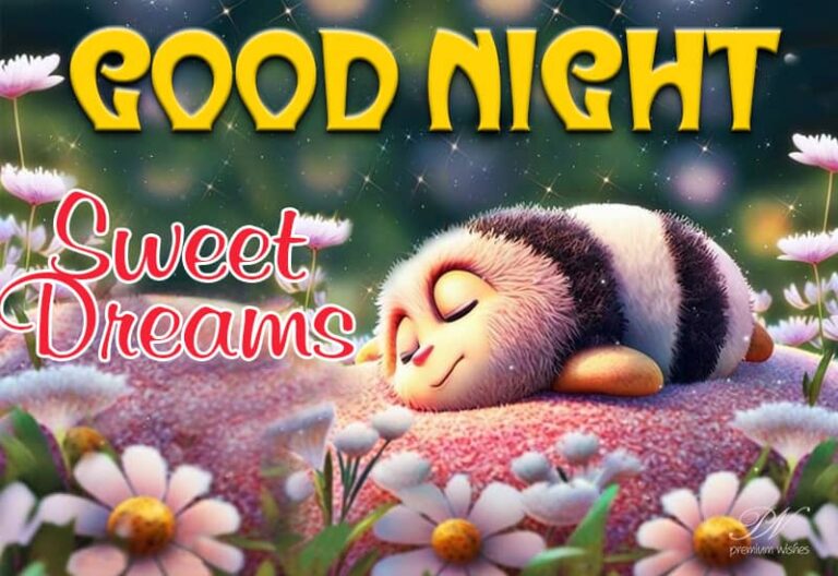 Good Night Wishes