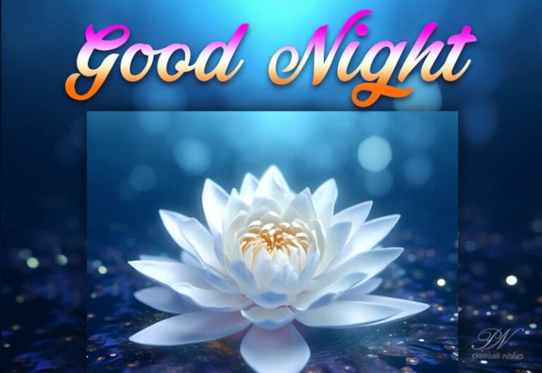 Good Night Friends – Hope you have a gala night ahead