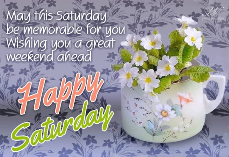 May this Saturday be memorable for you – Wishing you a great weekend ahead – Happy Saturday