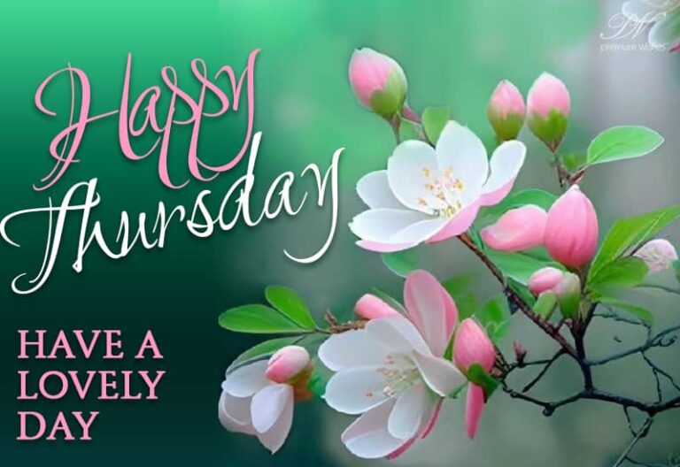 Happy Thursday – Have a lovely day