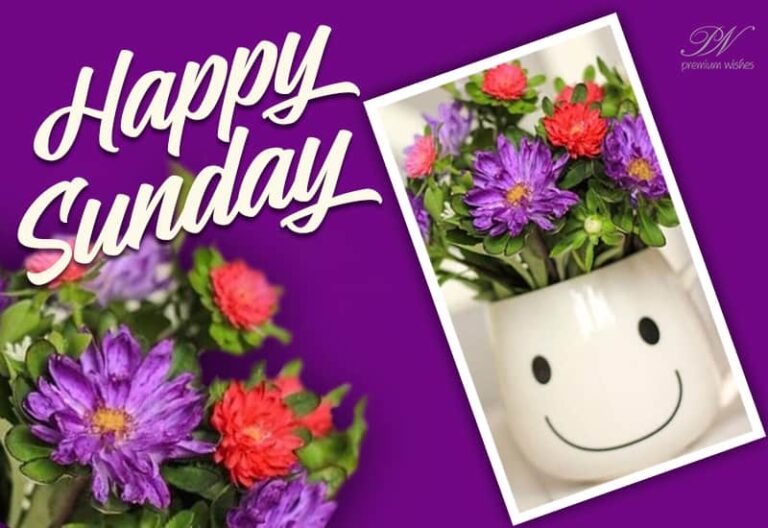 Friends Happy Sunday – Enjoy at the fullest