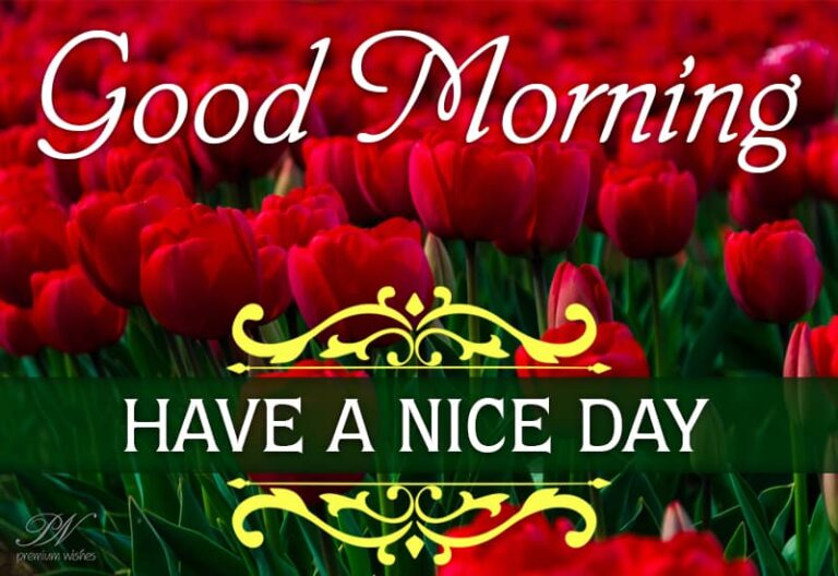 Good Morning – Have a nice day today