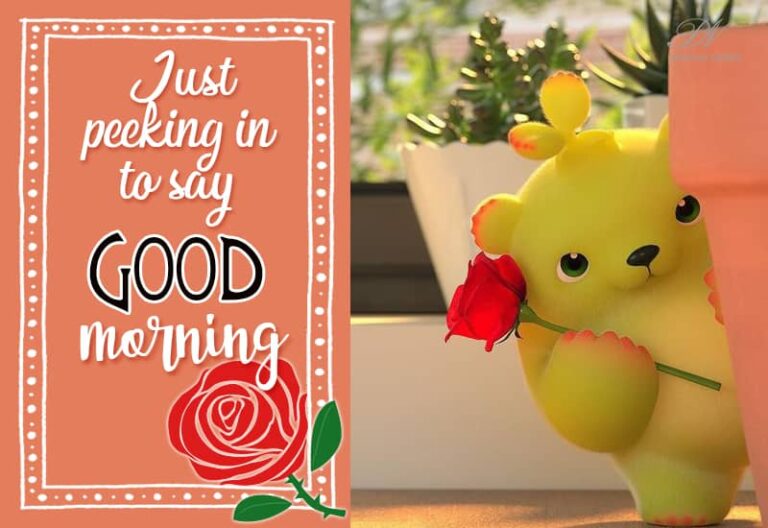 Just Peeking to say Good Morning