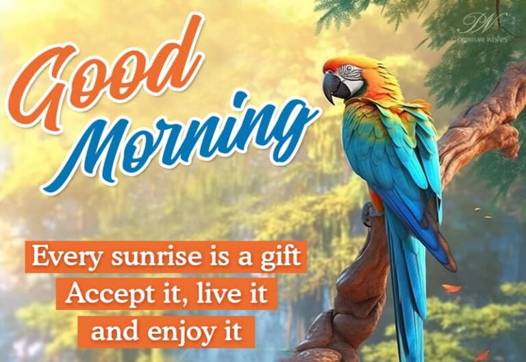 Good Morning – Every sunrise is a gift. Accept it, live it and enjoy it