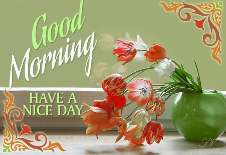 Good Morning – Have a nice day friends – enjoy