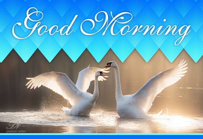 Good Morning – Be with Friends and Enjoy