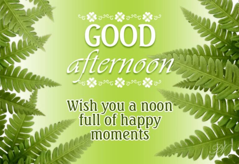 Good Afternoon Wishes