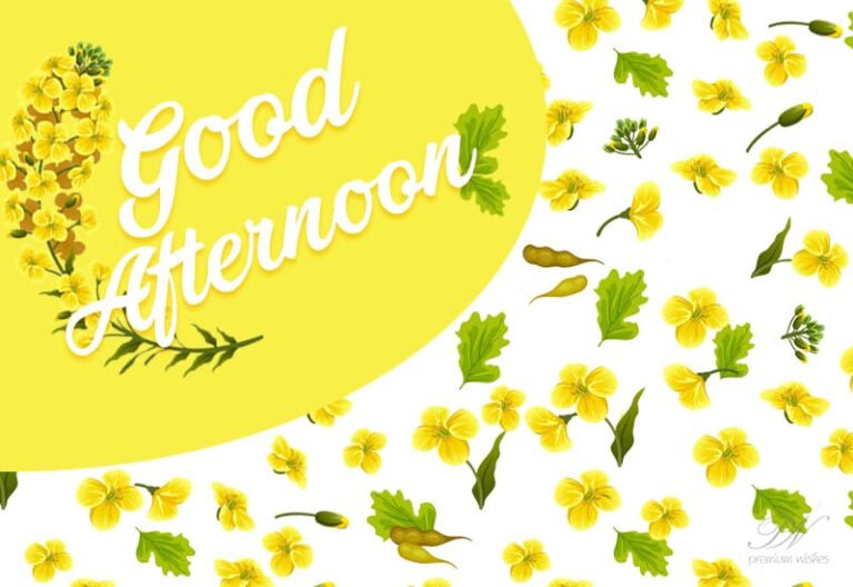 Good Afternoon Wishes