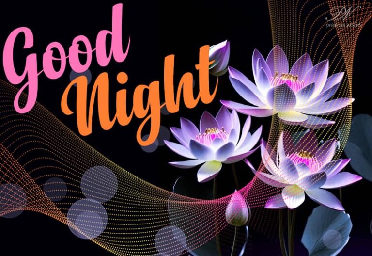 Good Night Wishes
