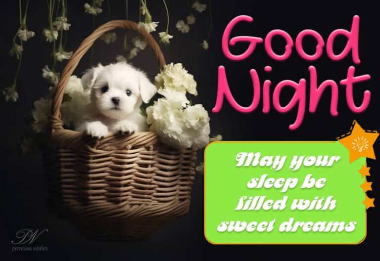 Good Night Wishes