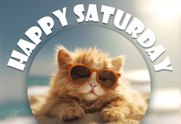 Happy Saturday Friends