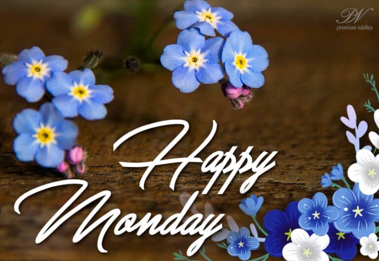 Friends Happy Monday – Start the week with a smile in your face