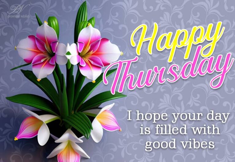 Happy Thursday – I hope your day is filled with good vibes