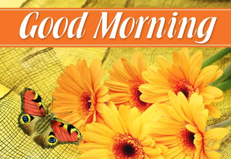 Good Morning Friends – Enjoy the lovely flowers with my best wishes for the day