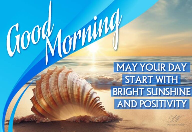 Good Morning – May your day start with bright sunshine and positivity