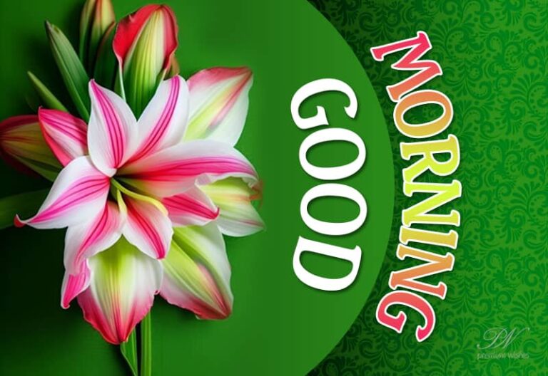 Good Morning – Enjoy the flower