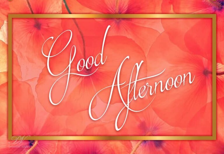 Good Afternoon Wishes