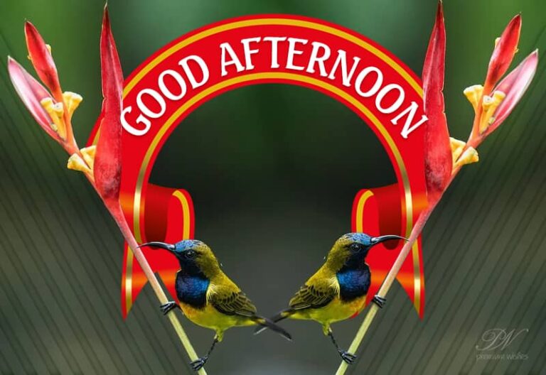 Good Afternoon Wishes
